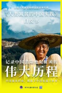 重磅白皮书发布！