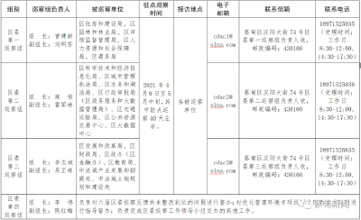 六届蔡甸区委优化营商环境专项巡察全面启动