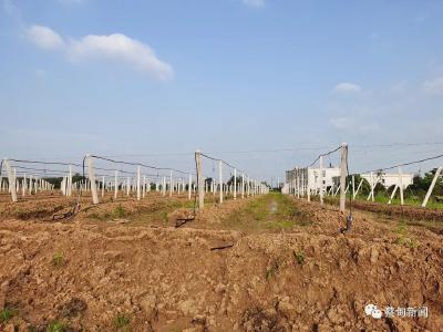 助推美丽乡村建设 区人大蔡甸街道工委“三进”活动走进姚家林村