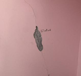 作风观察｜蔡甸这一工程近3年围而不建，为哪般？