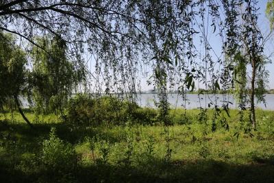 视频丨后官湖畔找寻初夏好时光