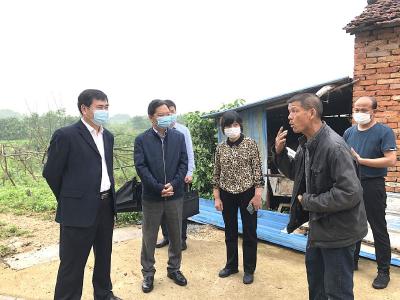 郝胜勇调研指导灾后恢复工作强调 发挥生态资源优势建设美丽乡村 努力让群众生活超过灾前水平