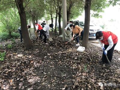 蔡甸知音社区：社区、物业、党员齐参与 助力环境卫生整治
