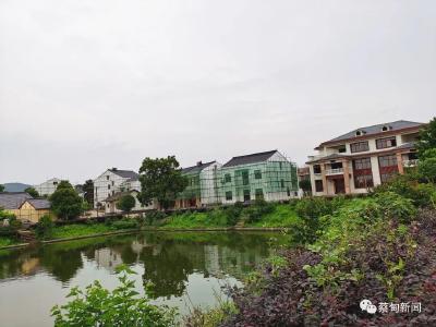 郝胜勇调研美丽乡村项目建设及农村人居环境整治工作