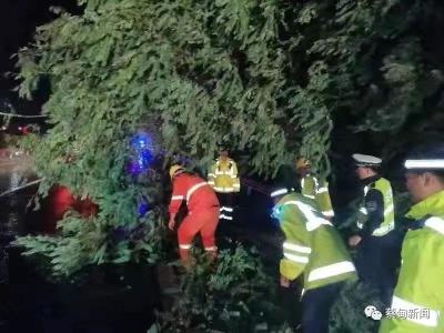 暴风雨夜，他们坚守在最需要的地方
