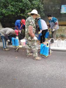 物业小区病媒生物防制 蔡甸住建部门在行动