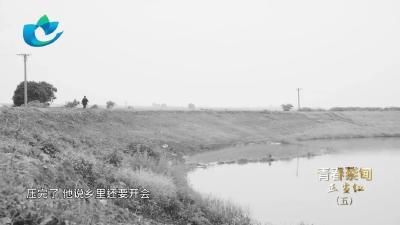 《青春蔡甸正当红》第五集丨何红仿：人们永远怀念的小乡官