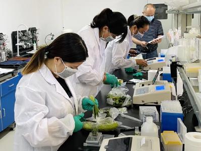 蔡甸：检测技能大比武 保障农产品质量安全