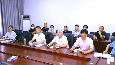 我为群众办实事 | 蔡甸区人大代表助力美丽城镇建设