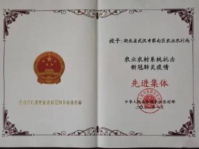 蔡甸农业农村局被农业农村部授予“农业农村系统抗击新冠肺炎疫情先进集体”称号