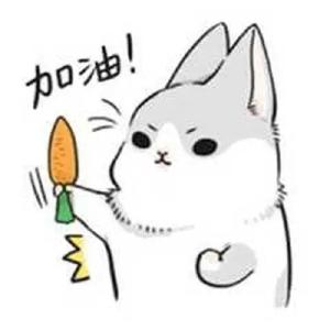 新高考大幕将启 蔡甸1768名考生明日赴考