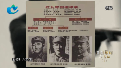 《青春蔡甸正当红》第三集丨蔡树藩：独臂将军的攀登