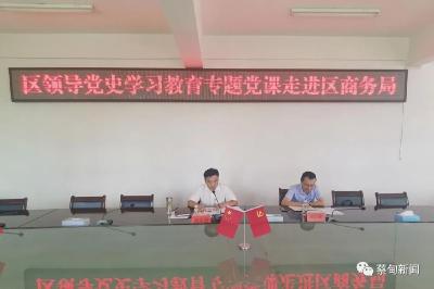 蔡甸区领导到区商务局讲党史学习教育专题党课