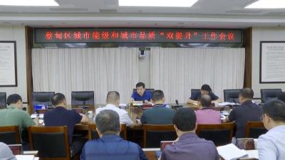 蔡甸：持续推进城市空间结构优化 实现城市能级、品质“双提升”
