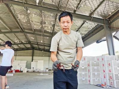 对接产销 发展订单农业 蔡甸这家农业联合社带动村民增收致富