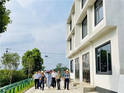 蔡甸区省级2019年度美丽乡村建设试点村迎接验收