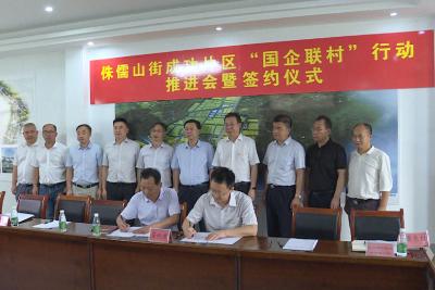 带动成功片区农业产业发展 长江建投集团签订“国企联村”投资项目