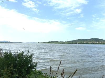 发力做好“水文章” 后官湖建立湖泊管理长效机制