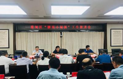 建设美丽城镇 蔡甸区部署推进“擦亮小城镇”工作