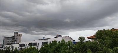 预警！暴雨+11级大风！蔡甸未来一周天气……