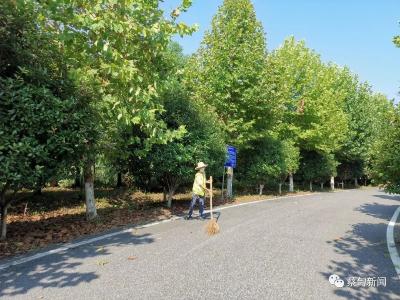 大集街道：整治河湖“四乱” 营造良好的河湖生态环境