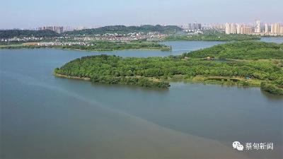 蔡甸上半年空气和水环境质量如何？成绩单来了！