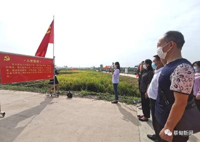 庆丰收 感党恩 蔡甸街道开展“稻穗飘香·丰收蔡甸”活动