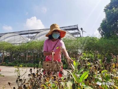同心抗疫！蔡甸坚守景区为游客退票 默默抗旱静待重启