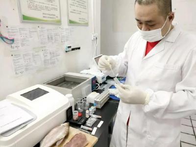 鱼、肉纳入快检 蔡甸区农贸市场安全检测升级