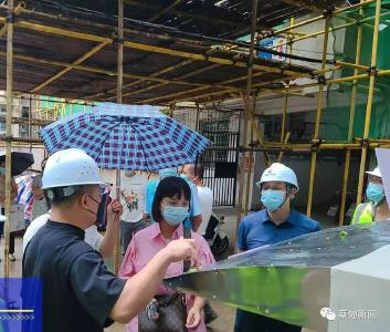 让老小区焕然一新！蔡甸街道人大代表聚焦老旧小区改造