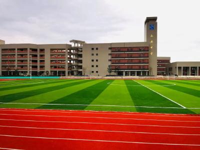 上新！蔡甸永安近1300名学子喜提新学校