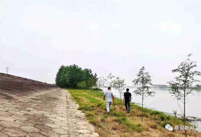蔡甸：搭设55个哨棚 全天候巡查 筑牢汉江防汛安全堤