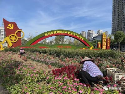 喜迎国庆 鲜花扮靓蔡甸街头
