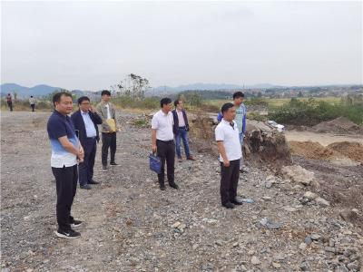 蔡甸区领导督导检查国土领域安全生产和矿山生态修复治理工作