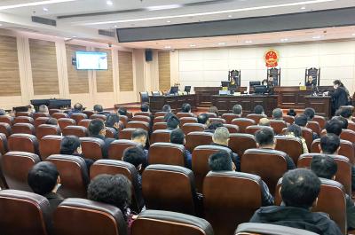 蔡甸：促行政争议实质性化解  让为民办实事暖心聚力
