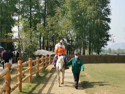 从严从紧抓落实 蔡甸区文旅系统筑牢安全防线