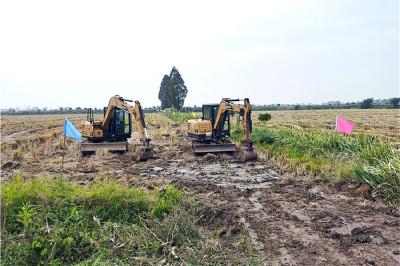 促进农民持续增收 蔡甸区2021年度高标准农田建设项目启动