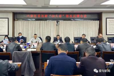 蔡甸区委3个巡察组向20家单位反馈“回头看” 情况
