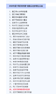 蔡甸索河街道成功跻身省级“四好农村路”示范乡镇