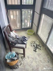 蔡甸一居民阳台起火 社区应急救援队伍快速扑灭