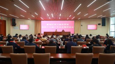 蔡甸区部署学习宣传贯彻党的十九届六中全会精神工作