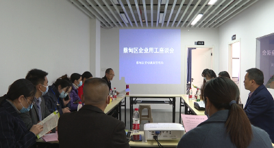 破解“用工难” 蔡甸将服务送到企业家门口