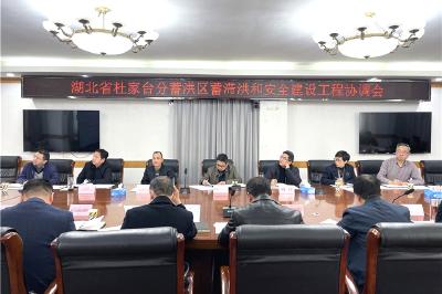 蔡甸区召开湖北省杜家台分蓄洪区蓄滞洪和安全建设工程协调会