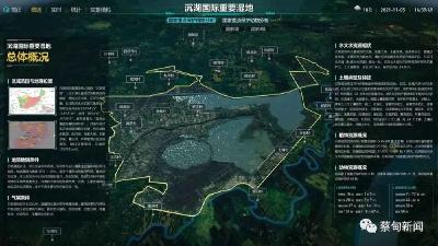 沉湖湿地又现罕见“迷鸟”大红鹳