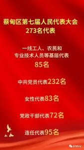  蔡甸区人大常委会听取审议议案、代表建议办理情况报告