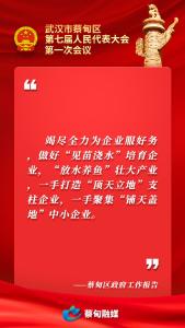 收藏！藏在蔡甸区政府工作报告里的这些金句