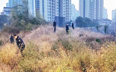 蔡甸城管闻风而动 排除一起燃气安全隐患