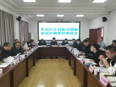 蔡甸区开展乡村振兴战略规划中期评估