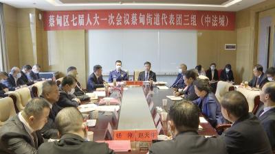 余从斌参加蔡甸街道代表团讨论： 坚定不移做好“三篇文章” 加快打造现代化武汉重要增长极