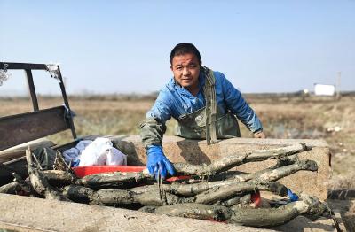 蔡甸：驻村第一书记变身主播 直播带货助力乡村振兴